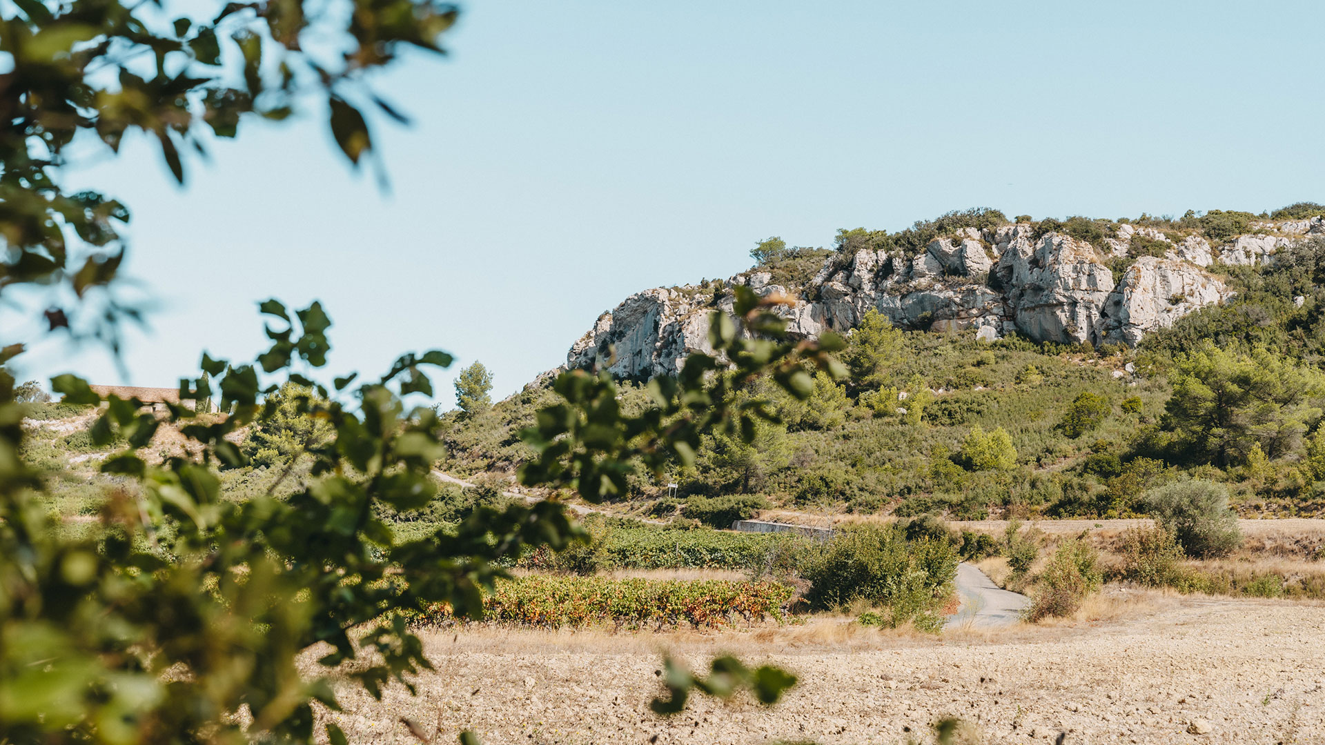 Massif de la Clape, Languedoc, Südfrankreich