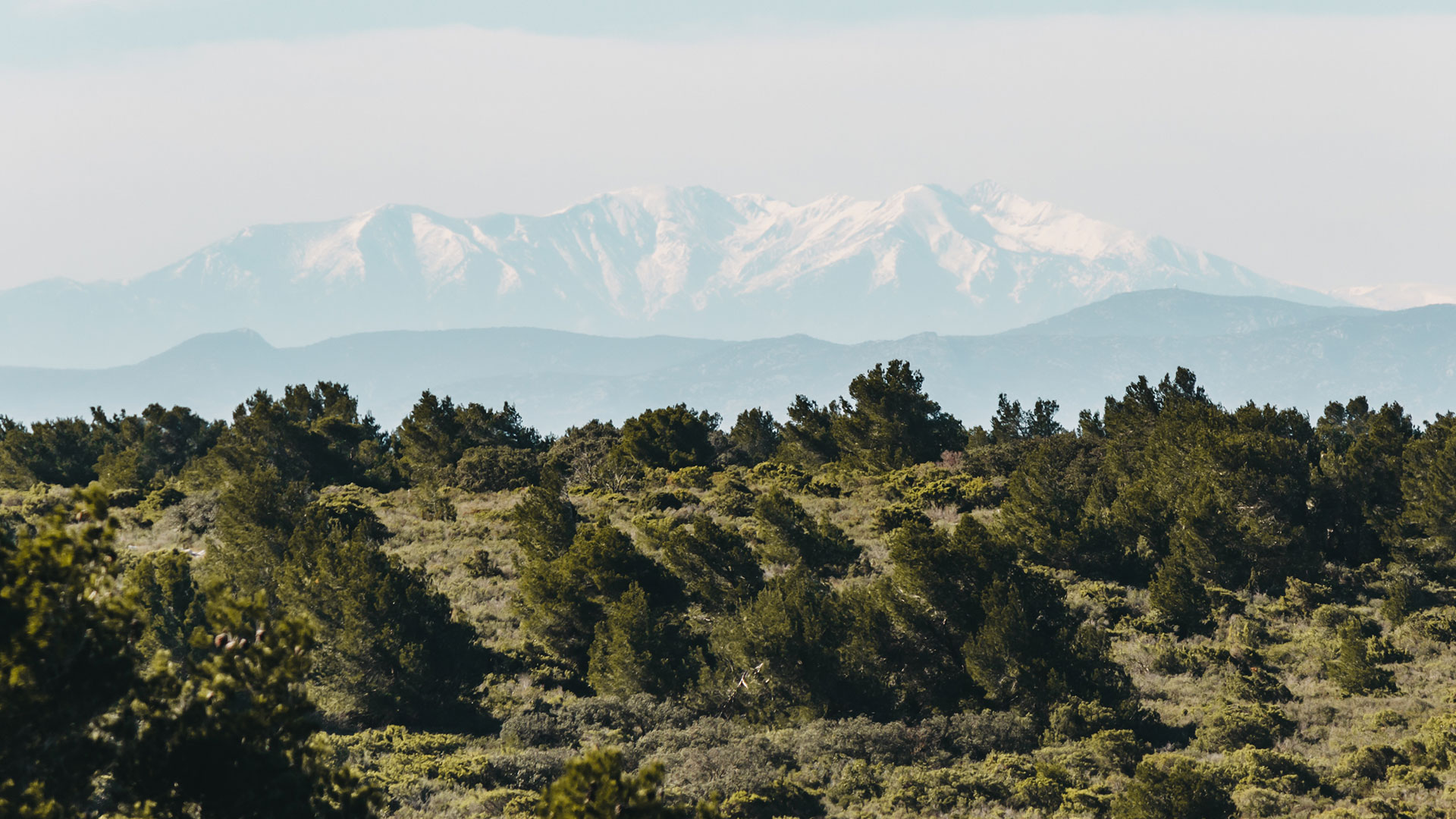 Massif de la Clape, Languedoc, Südfrankreich